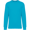 Couleur Light Turquoise