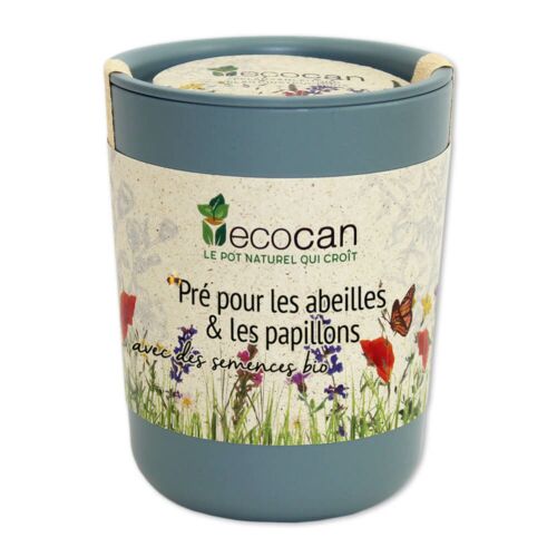 Pré pour abeilles et papillons