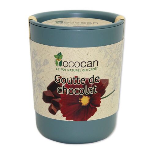 Goutte de chocolat