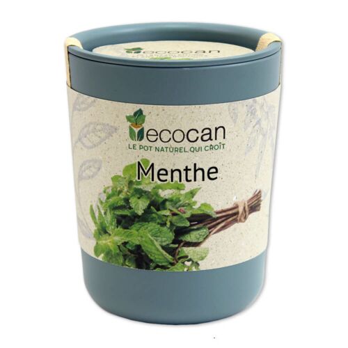 Menthe