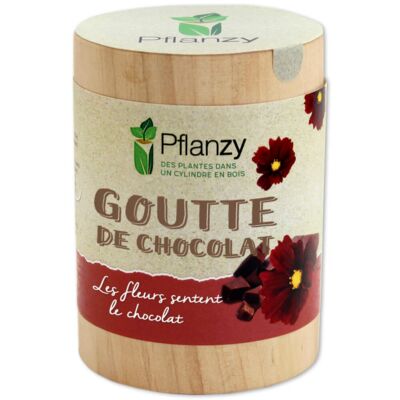 Goutte de chocolat