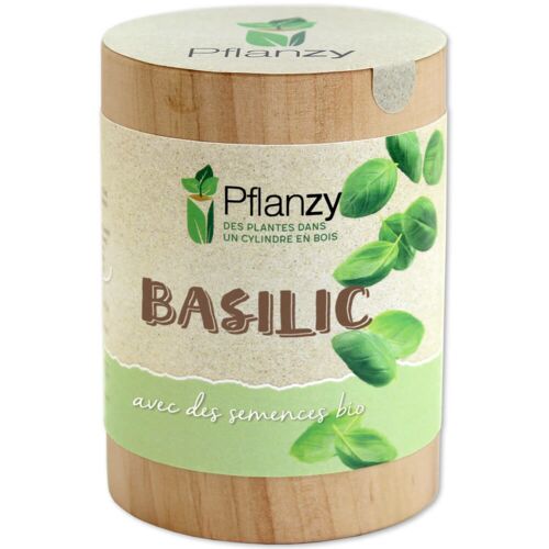 Basilic