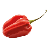 Piment Habanero